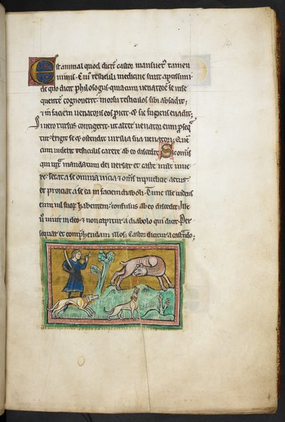 Royal 12 F.XIII, f.14 Wilk (?) z pyskiem krwi i myśliwy z psami, z Bestiariusza Rochester, 2. ćw. XIII w. autorstwa English School
