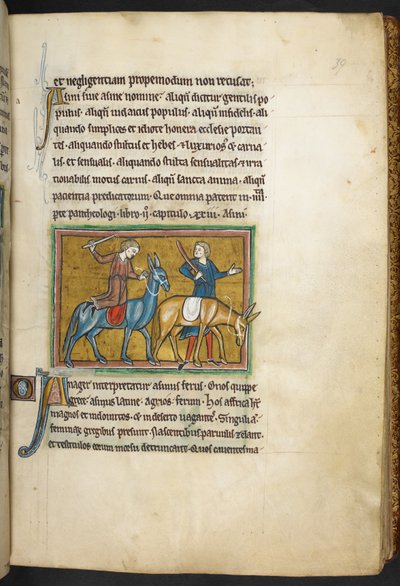 Królewski 12 F.XIII, f.39   Dwóch mężczyzn z dwoma mężczyznami z tyłkami. , z Bestiariusza (ff. 3-141), Lapidary (ff. 141v-149)  , 2 ćw. XIII w. (welin) autorstwa English School
