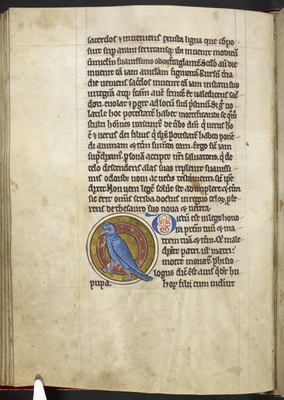 Royal MS 12 C XIX f.50v, Dudek, z „Bestiariusza”, c.1200-10 (tusz, kolor i złoto na welinie) autorstwa English School