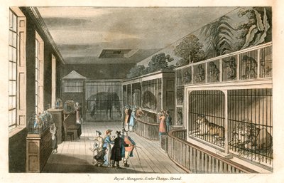 Königliche Menagerie, Exeter Change, Strand von English School