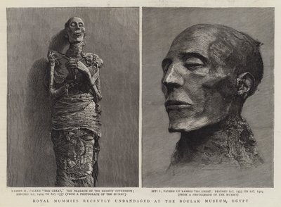 Royal Mummies niedawno Unbandaged w Muzeum Boulak w Egipcie (grafika) autorstwa English School