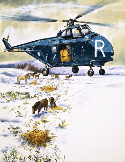Helikopter Królewskiej Marynarki Wojennej używany do ratowania zwierząt autorstwa English School