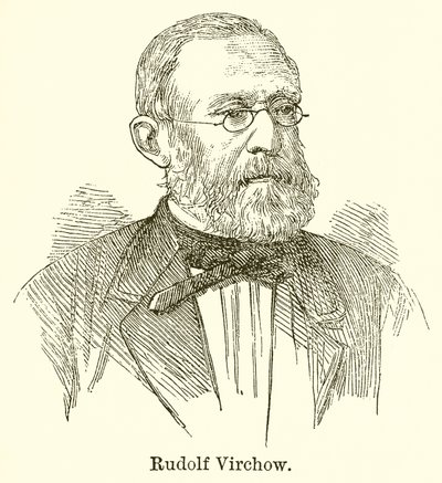 Rudolf Virchow autorstwa English School