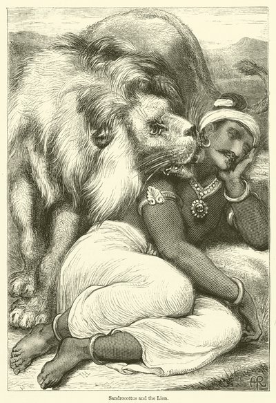 Sandrocottus i lew (rycina) autorstwa English School