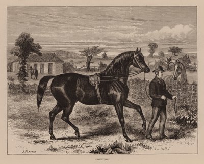 "Saunterer" (grawerunek) autorstwa English School