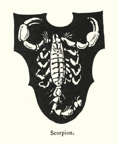 Skorpion (grawerowanie) autorstwa English School