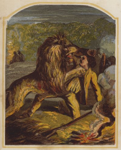 Szkocki misjonarz David Livingstone zaatakowany przez lwa w Afryce (chromolit) autorstwa English School