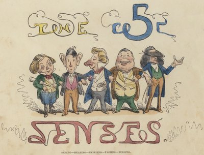 Widzenie, słyszenie, wąchanie, smakowanie, odczuwanie (kolorowy grawerunek) autorstwa English School