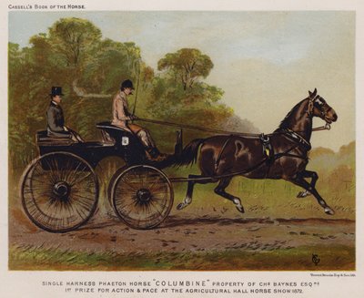 Pojedyncza uprząż Faeton Horse „Columbine”, własność Charlesa Baynesa Esq autorstwa English School