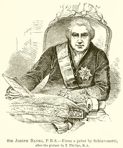 Sir Joseph Banks, PRS autorstwa English School