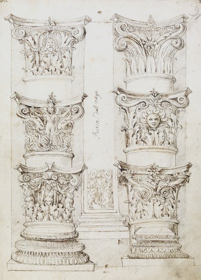 Sześć kapitalików, podstawa Lesene i dwie kolumny, Folio 1, The Master of the Oxford Album, c.1512-17 (pióro i ciemnobrązowy atrament) autorstwa English School