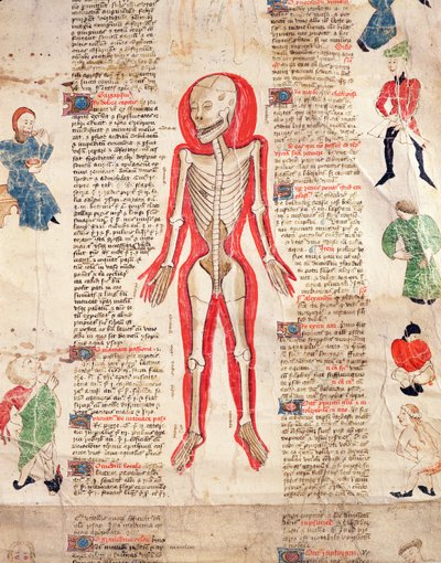Szkielet, z De arte phisicali e de cirugia autorstwa Johna Ardene, 1412 autorstwa English School
