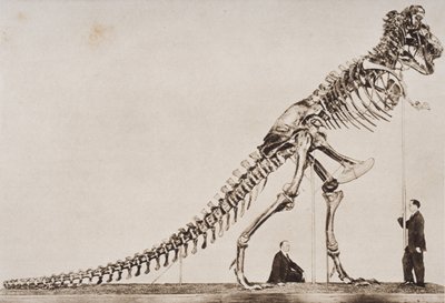 Szkielet Tyrannosaurusa Rexa, w Amerykańskim Muzeum Historii Naturalnej, z "Zarysu historii" H.G. Wellsa, tom I, wydany w 1920 roku (fotograwiura) autorstwa English School