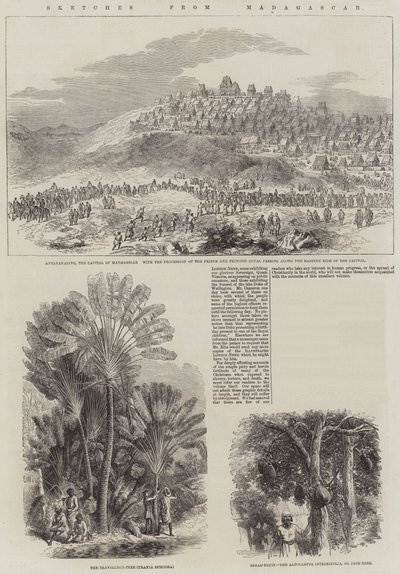 Szkice z Madagaskaru (grafika) autorstwa English School