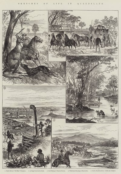 Szkice z życia w Queensland (grafika) autorstwa English School