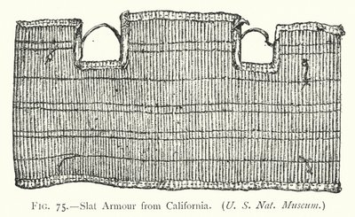 Slat Armor z Kalifornii (lito) autorstwa English School