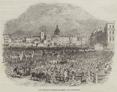 Smithfield Cattle Market, na Boże Narodzenie (grawerowanie) autorstwa English School