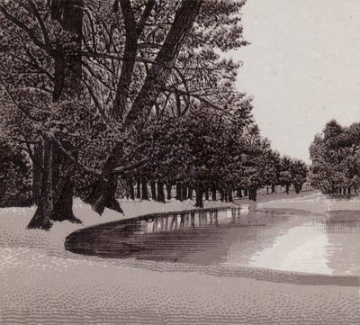 Sophia Gardens, Cardiff (lito) autorstwa English School