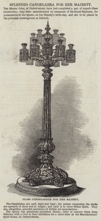Splendid Candelabra dla Jej Królewskiej Mości (grafika) autorstwa English School