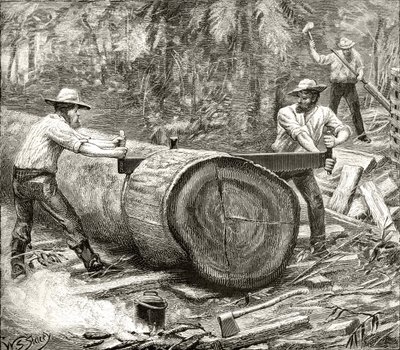 Splitters in the Bush, ok. 1880, z „Australian Pictures” Howarda Willoughby’ego, wydanej przez religijne Towarzystwo Traktu, Londyn, 1886 autorstwa English School