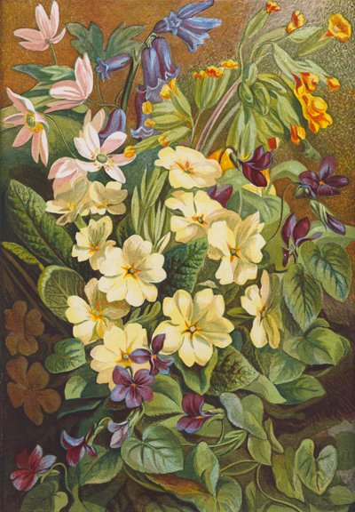 Wiosenne kwiaty (kolorowa litografia) autorstwa English School