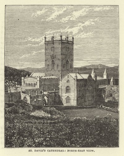 Katedra St Davids, widok północno-wschodni autorstwa English School