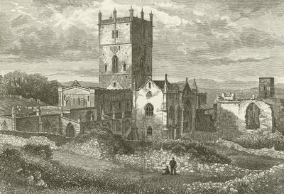 Katedra St Davids i kolegium, od północnego wschodu autorstwa English School