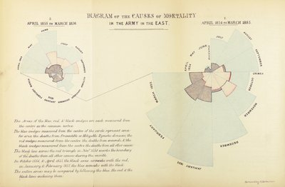Wykres statystyczny wymyślony przez Florence Nightingale, aby pokazać przewagę chorób jako przyczynę śmiertelności w armii brytyjskiej podczas wojny krymskiej, kwiecień 1854 do marca 1855 i kwiecień 1855 do Ma autorstwa English School