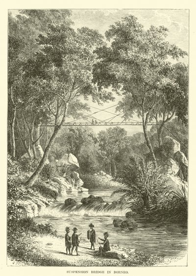 Most wiszący na Borneo autorstwa English School