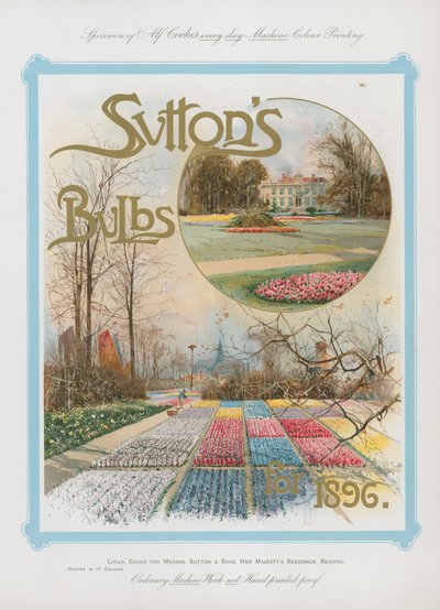Żarówki Suttons na rok 1896 autorstwa English School