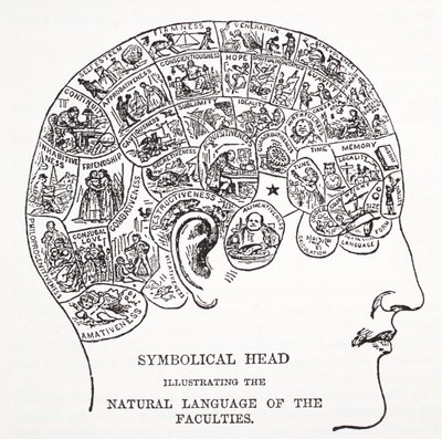 Symboliczna głowa przedstawiająca naturalny język wydziałów autorstwa English School