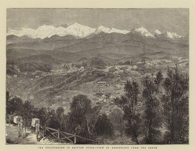 Uprawa herbaty w Indiach Brytyjskich, Widok Darjeeling od południa (rycina) autorstwa English School
