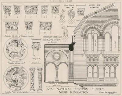 Detale z terakoty z nowego Muzeum Historii Naturalnej w South Kensington autorstwa English School