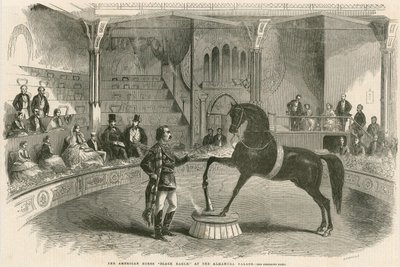Amerykański koń Black Eagle w Pałacu Alhambra (Teatr Alhambra), Leicester Square, Londyn autorstwa English School