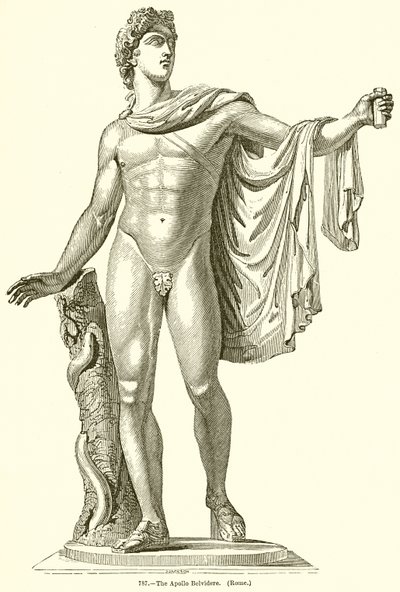 Apollo Belvidere. (Rzym) autorstwa English School
