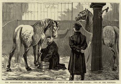 Zabójstwo zmarłego cara Rosji, szkic w cesarskich stajniach, dwóch rannych autorstwa English School