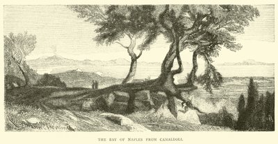 Zatoka Neapolitańska z Camaldoli autorstwa English School