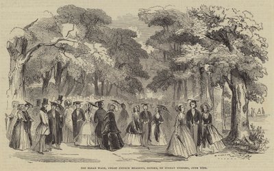 The Broad Walk, Christ Church Meadows, Oxford, w niedzielę wieczorem autorstwa English School