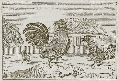 Kogut i klejnot (rycina) autorstwa English School