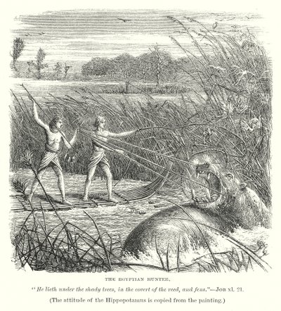 Egipski myśliwy (rycina) autorstwa English School