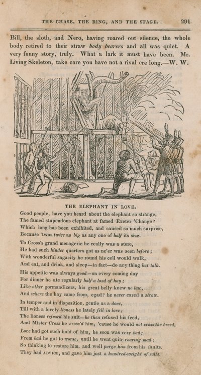 Zakochany słoń autorstwa English School