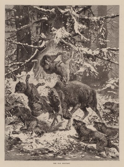 The Elk Militant (rycina) autorstwa English School