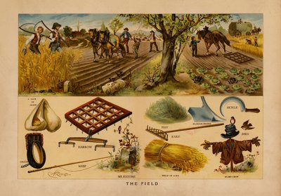 The Field (kolorowa litografia) autorstwa English School