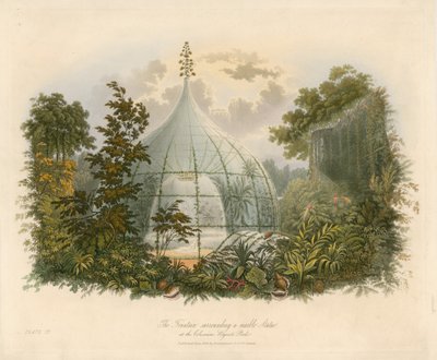 Fontanna otaczająca marmurowy posąg w Koloseum, Regents Park autorstwa English School