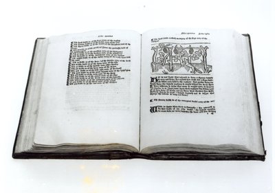 Lis i winogrona, z ilustrowanego przekładu Bajek Ezopa autorstwa Williama Caxtona (ok. 1422-91) 1434 autorstwa English School