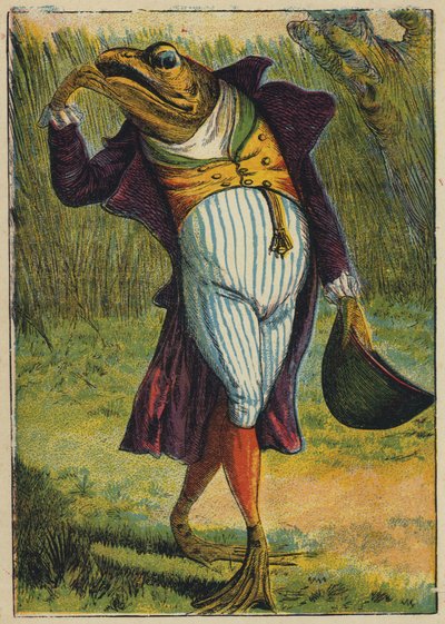 Żaba w pełnym stroju (kolorowa litografia) autorstwa English School