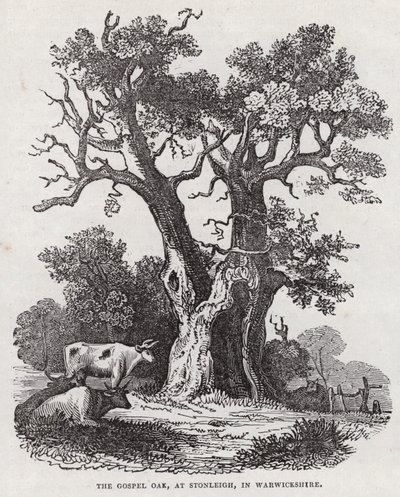 Dąb Ewangelii, Stonleigh, Warwickshire (grafika) autorstwa English School