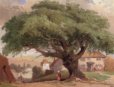 The Great Ash, scena w Surrey (kolor lito) autorstwa English School