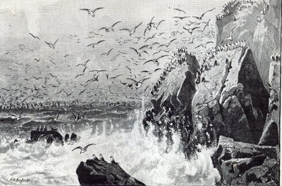 Nawiedzenie mew, z „Godziny wypoczynku”, 1888 r. autorstwa English School