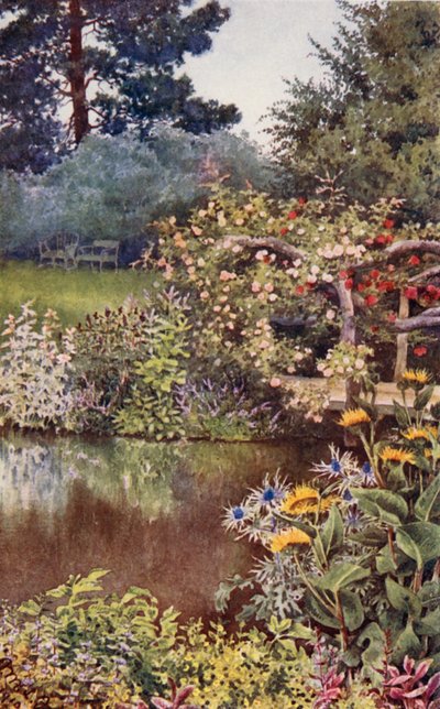 Ogród ziołowy: Zioła nad wodą (kolorowa litografia) autorstwa English School